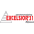 精英31logo