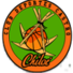 卡斯托洛logo