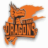 岘港巨龙logo
